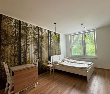 Pronájem bytu 1+kk • 34 m² bez realitkyZa Jitonou, Český Krumlov - ... - Photo 1