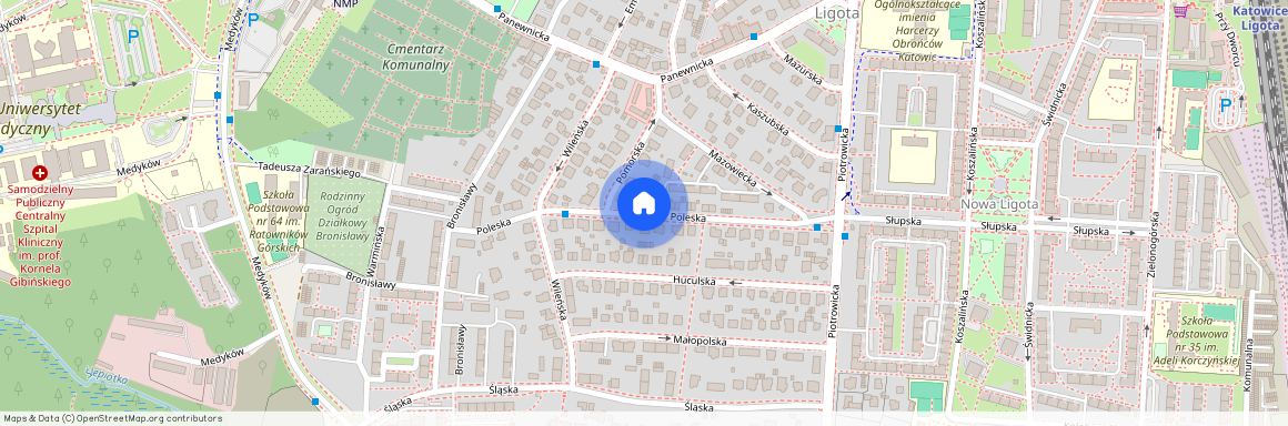 ul. Poleska, Ligota-Panewniki, Katowice, śląskie