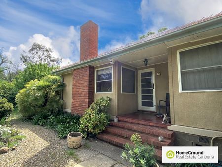 10 Wandoo Street, O'Connor ACT 2602 - House For Rent - $515 | Domain - Photo 4