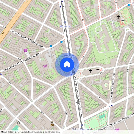 Avenue Charles Woeste 167, 1090, Jette