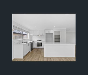 Spacious Family Living in the Heart of Warralily - Photo 3