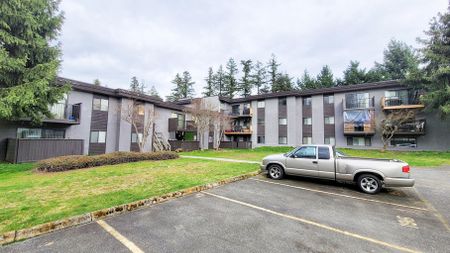 Pinetree Apartments - Photo 4