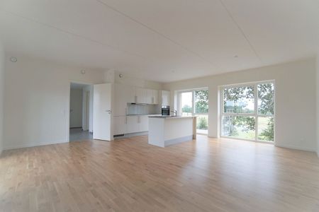 Langstrømpevej 15, 2., 8600 Silkeborg - Foto 4