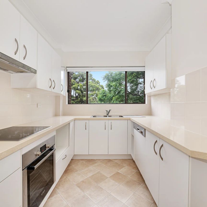 6/461 Willoughby Road, Willoughby. - Photo 1