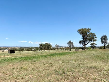 Beautiful Family Home on approx. 100 acres with Swimming Pool - Photo 4