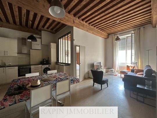 Lyon 5e/ prox Trion - Photo 1