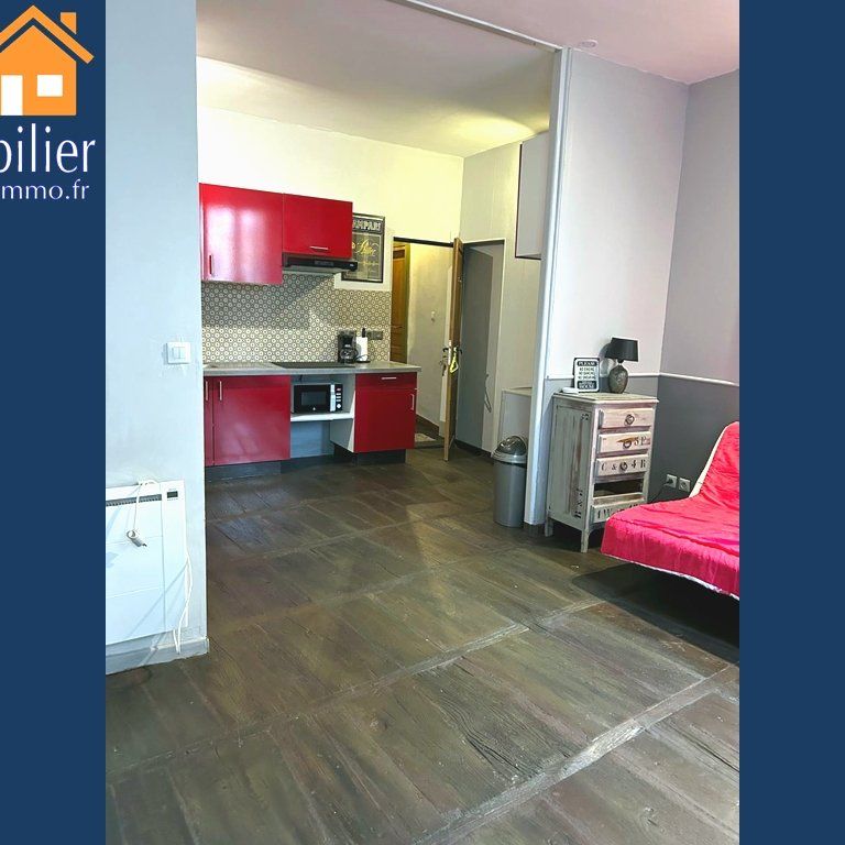Location Appartement 1 pièce 27m² VILLEFRANCHE DE ROUERGUE 12200 - Photo 1