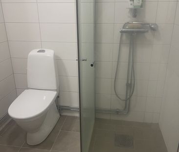 Jungfruns gata, Brandbergen - Photo 5