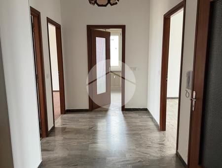 Trilocale in affitto - Photo 1