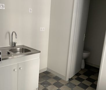Location Appartement 1 pièce 25m² ANNONAY 07100 - Photo 1