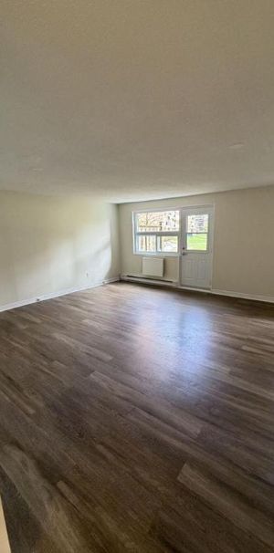 1 CH - 1 SDB - Gatineau - $1,199 /mo - Photo 1