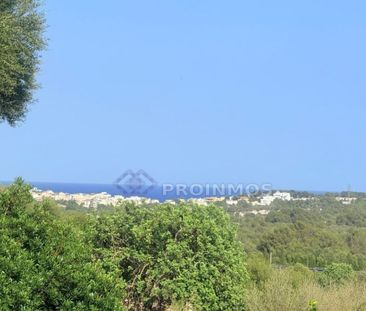 3 room luxury Villa for rent in Manacor, Spain - Photo 4