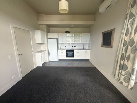 4BR Flat directly opposite Massey Uni - Photo 4