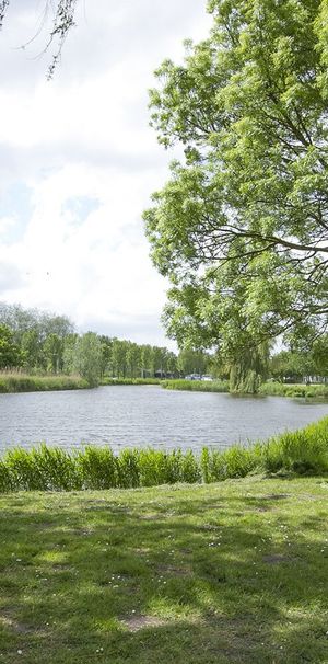 Na een drukke dag relaxen in de tuin - Photo 2