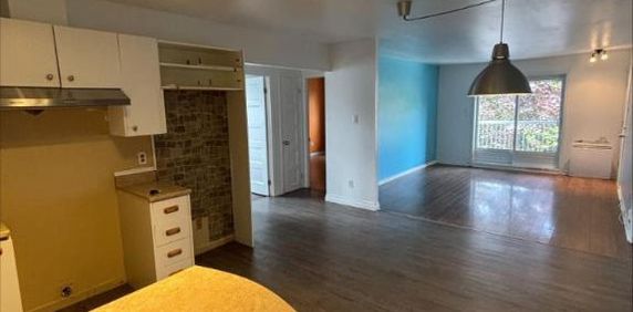 3 CH - 1 SDB - Sorel-Tracy - $1,250 /mo - Photo 2