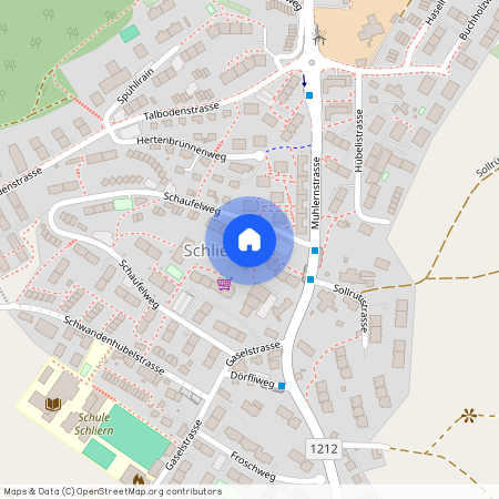 Schaufelweg 11, 3098 Schliern b. Köniz