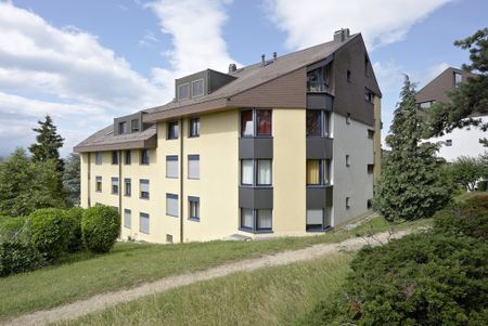 Appartement chaleureux avec mezzanine - Photo 2