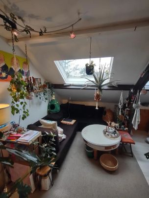Studio Buitenwatersloot, Delft - À louer - Photo 1
