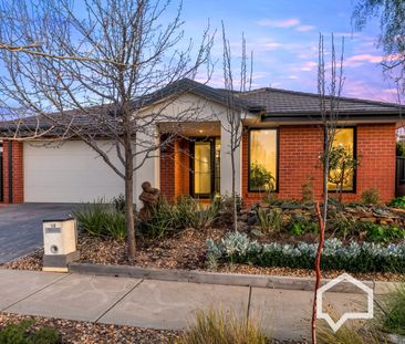 12 Bilitho Street, Huntly, Vic 3551 - Photo 6