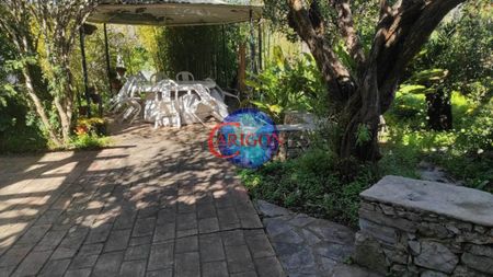 House in São Brás de Alportel - Photo 5