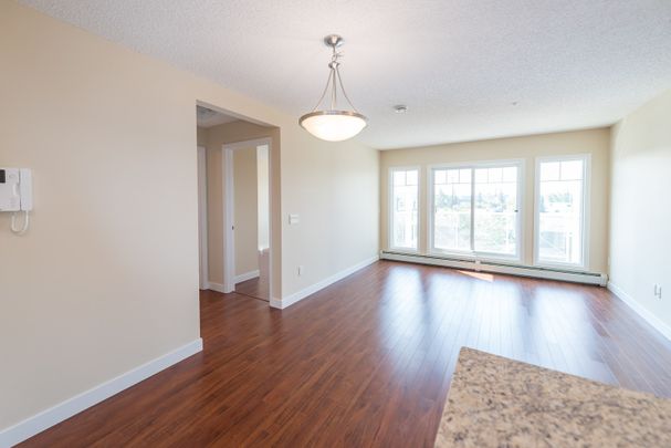 Solara at Sky View - Photo 1