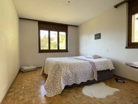 Magnificent, bright and quiet - Photo 4