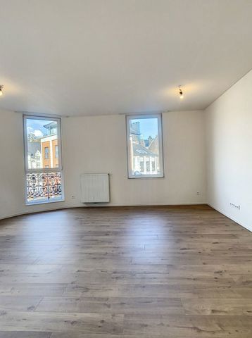 Live with the owner: 1-bedroom apartment in the heart of Liège - Foto 2