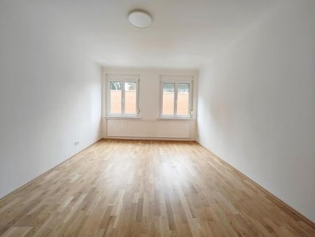 Jacquingasse - Schöne 2-Zimmer-Wohnung im erhöhten Erdgeschoss - Photo 5