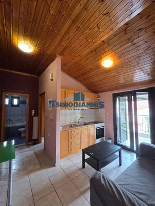 Studio/Γκαρσονιέρα για ενοικίαση Σεισμόπληκτα (Ιωάννινα) - Φωτογραφία 1