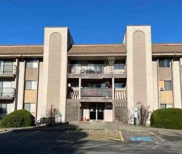 3026, 3044 & 3046 Clearbrook Road — 1B - Photo 3