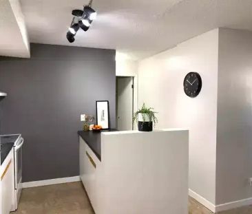 Lower Floor - HUGE 1 Bdrm Suite - UNIQUE LAYOUT - Available September 1st | 5820 58A Street, Red Deer - Photo 1