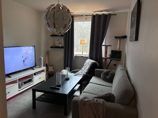 Drottninggatan 130, Helsingborg - Photo 1