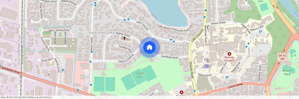 31 Sandleigh Road, Hamilton Lake, Hamilton City