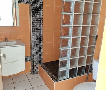 Location Appartement 1 pièce 20m² ST DENIS 97400 - Photo 3