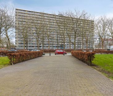 183, De Weer, Zaandam - Photo 3