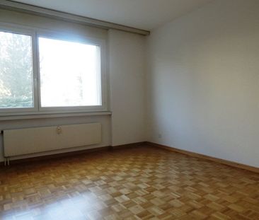 2.5 Zimmer, 56 m², 2. Stock - Foto 2