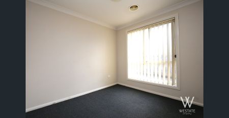 MORE ON MORRISSET - Photo 3