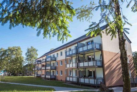 Barmbeker Ring 12, 21502 Geesthacht OT Oberstadt - Photo 4