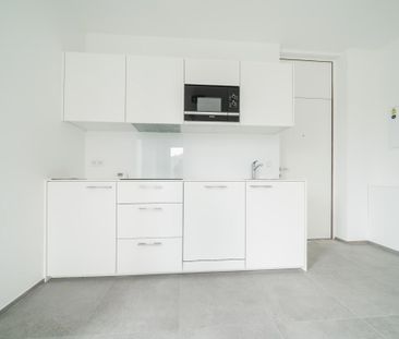 Rue Préixhe 20 Hermalle-sous-argenteau 4681, Hermalle-Sous-Argenteau - Photo 5