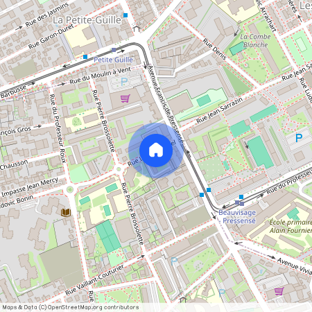 40 RUE LOUISE MICHEL, CITE LOUISE MICHEL, VENISSIEUX Moulin-a-Vent