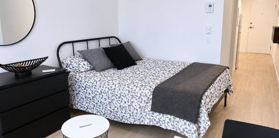 Studio - Montréal - $1,095 /mo - Photo 2