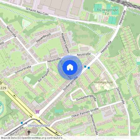 Schraeplerstr. 4, 45355 Essen