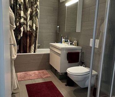 Schöne 2.5 Zimmer-Wohnung in Chur zu vermieten! - Foto 3