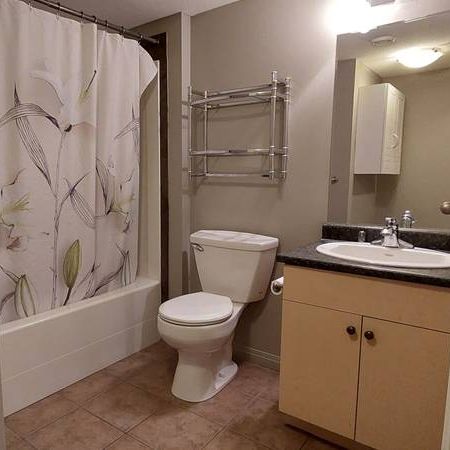 2 BR 1 Bath - Photo 4