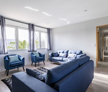 COLOCATION 7 CHAMBRES SUR CAMPUS - Photo 3