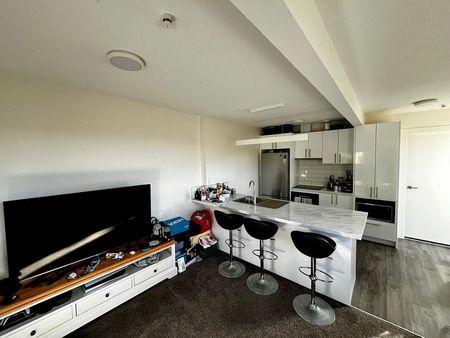 Sunny, Warm, Quiet Brooklyn Retreat - Photo 3