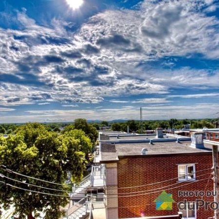 9424 rue Sherbrooke Est, Mercier / Hochelaga / Maisonneuve à louer - Photo 1