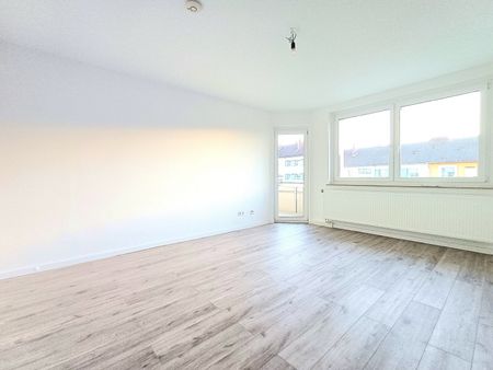 In den Leibnizgärten… - Photo 3