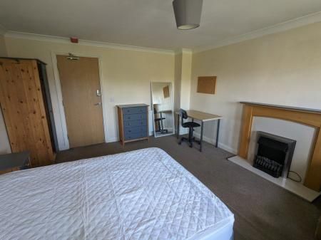 Tiger Moth Way - Photo 3