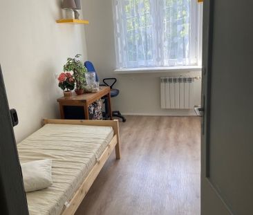 Pruszkowski, Pruszków - Zdjęcie 2